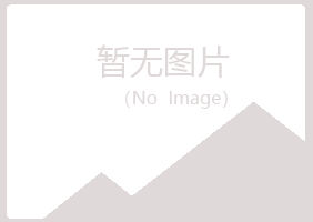 昌图县山柳化学有限公司